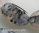 Dendrite